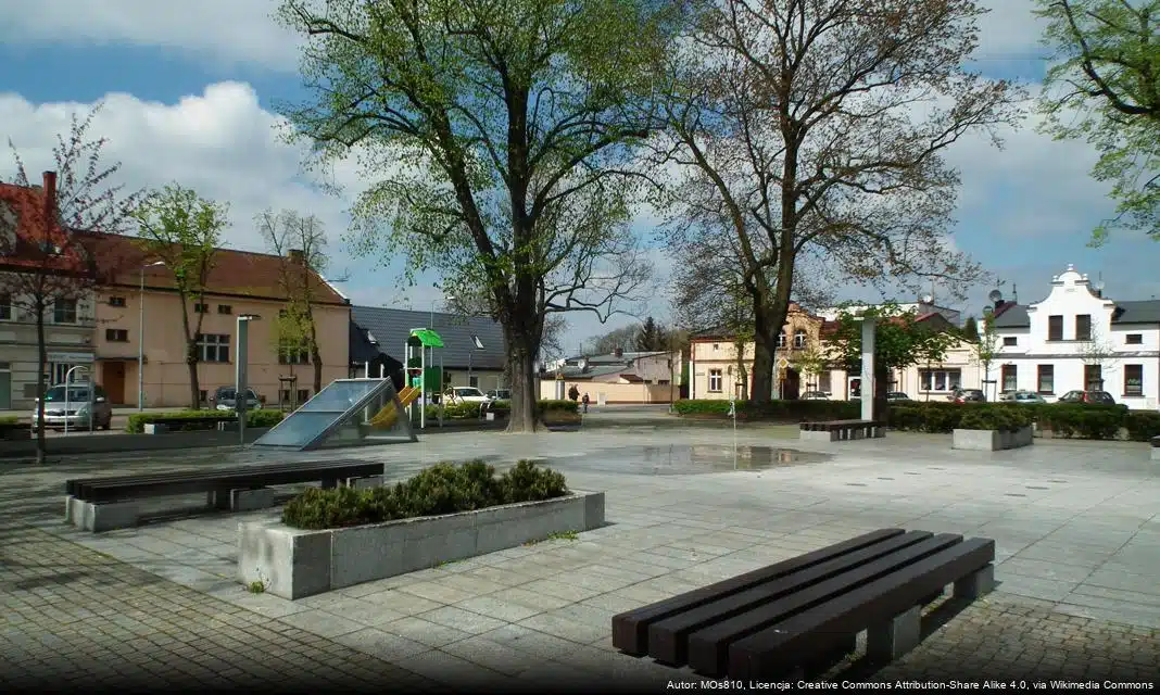 Bezwzględne więzienie dla kierowcy Mercedesa z Kostrzyna